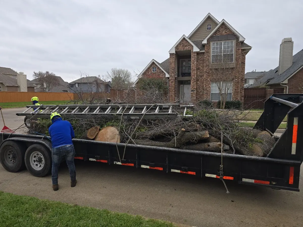 Expert Lot Clearing with proper safety equipment in Irving